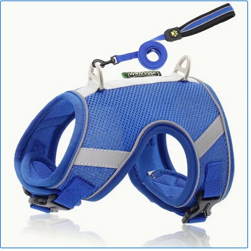 🐾 ROYAL BLUE Reflective Mesh Pet Harness + Leash – Size L